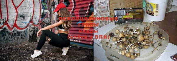 стаф Киреевск