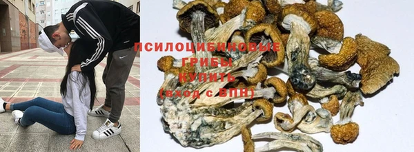 марихуана Киренск