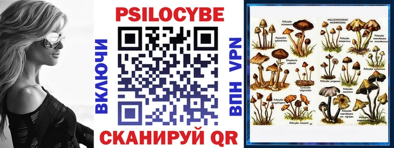 Купить  Судогда  Галлюциногенные грибы Cubensis 