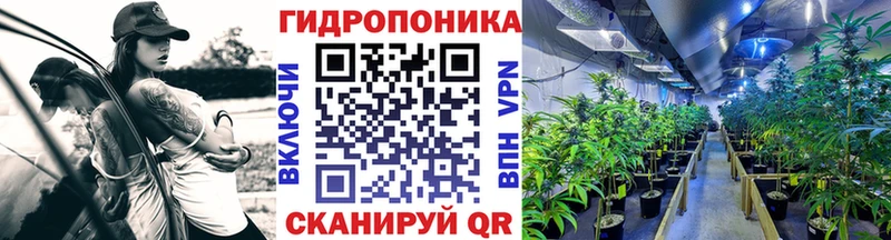 Купить  Судогда  МАРИХУАНА сатива 